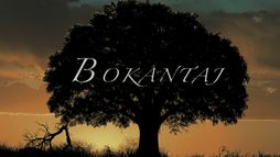 Bokantaj
