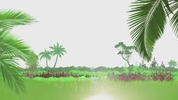 Elles plantent, plantons !