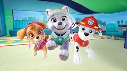 Paw Patrol, la Pat'Patrouille - Saison 5