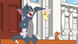 Tom et Jerry Show - Saison 5