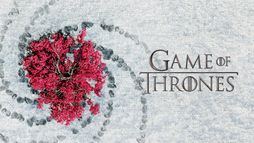 Game of Thrones - Saison 8