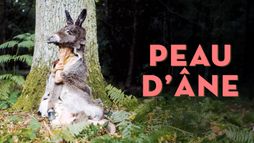 Peau d'âne