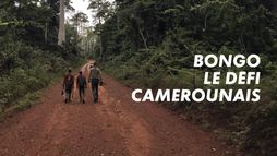Bongo le défi camerounais