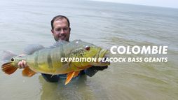 Colombie, expédition peacock bass geants