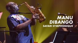 Manu Dibango : Safari symphonique