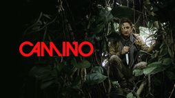 Camino