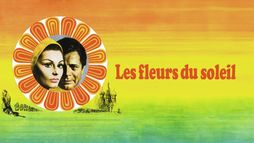 Les fleurs du soleil
