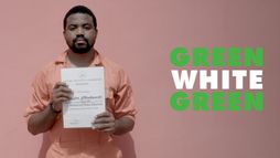 Green White Green (And All the Beautiful Colours in My Mosaic of Madness)