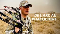 De l'arc au phacochère