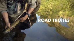 Road truites