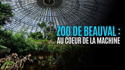 ZooParc de Beauval : au coeur de la machine