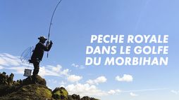Pêche royale dans le Golfe du Morbihan