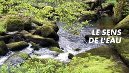 Le sens de l'eau