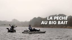 La pêche au Big bait
