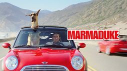 Marmaduke