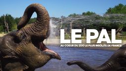 Le PAL : au coeur du zoo le plus insolite de France