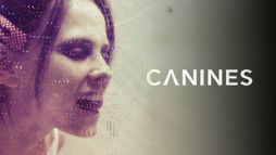 Canines