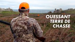 Ouessant, terre de chasse