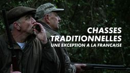 Chasses traditionnelles, une exception à la française