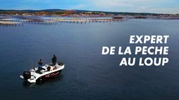 Expert de... la pêche au loup