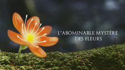 L'abominable mystère des fleurs
