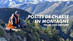 Postes de chasse en montagne, toute une histoire