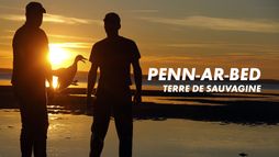 Penn-ar-Bed, terre de sauvagine