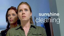 Sunshine Cleaning