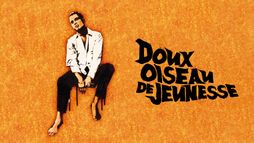 Doux oiseau de jeunesse