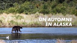 Un automne en Alaska
