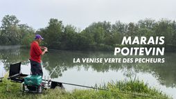 Marais poitevin, la Venise verte des pêcheurs