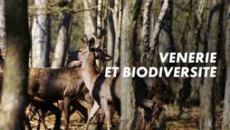 Vénerie et biodiversité