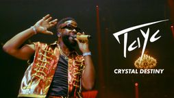 TAYC Accor Arena CRYSTAL DESTINY