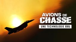 Avions de chasse : une technologie XXL