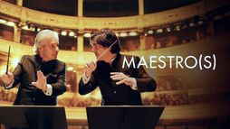 Maestro(s)