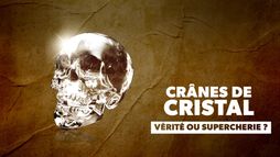 Crânes de cristal : vérité ou supercherie ?
