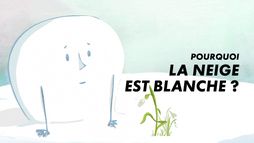 Pourquoi la neige est blanche ?