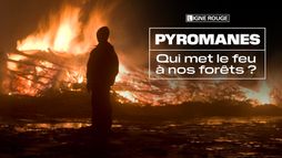 Pyromanes, qui met le feu à nos fôrets ?