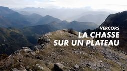 Vercors, la chasse sur un plateau