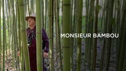 Monsieur Bambou