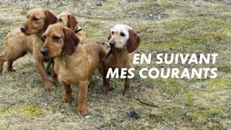 En suivant mes courants