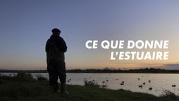 Ce que donne l'estuaire