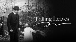 Les feuilles chéant