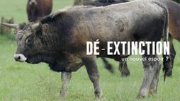Dé-extinction, un nouvel espoir ?