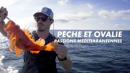 Pêche et ovalie, passions méditerranéennes