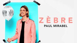 Paul Mirabel : Zèbre