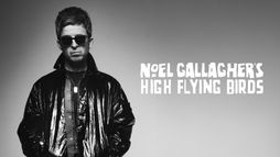 Noel Gallaghers High Flying Birds en concert au Zénith de Paris