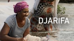 Djarifa