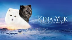 Kina & Yuk : renards de la banquise