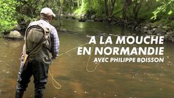 A la mouche en Normandie avec Philippe Boisson